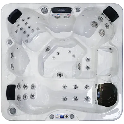 Avalon EC-849L hot tubs for sale in Farmington